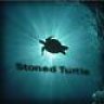 stoned_turtle