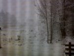 DSC00102.JPG