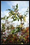 comp_DSC_3377.jpg