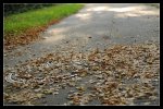 comp_DSC_3380.jpg