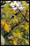 comp_DSC_3389.jpg