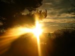 IMG_2307.jpg