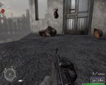cod 2.JPG