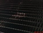 DSC05716.jpg