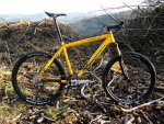 bikewaldseite.jpg