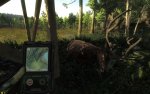 theHunter 2011-02-10 16-45-31-86.jpg