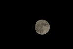 DSC00476.JPG