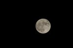 DSC00478.JPG