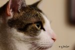 IMG_35751.JPG