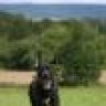MisterDogFfM