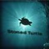 stoned_turtle