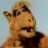 monkey72