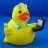 HardwareDuck
