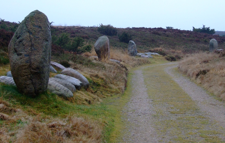 hinkelstein01.jpg