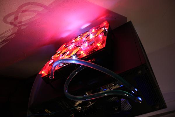 Zfx33206.jpg