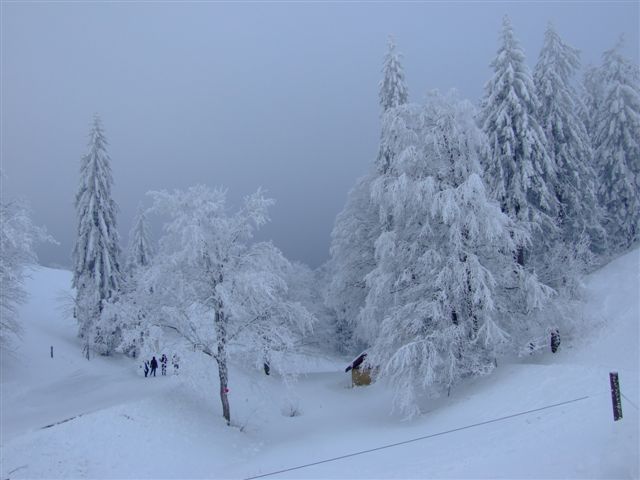 neu_pic 026.jpg