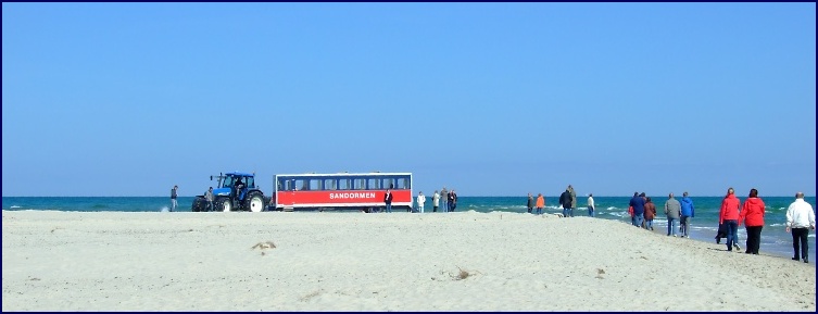 (DK)Skagen-5.jpg