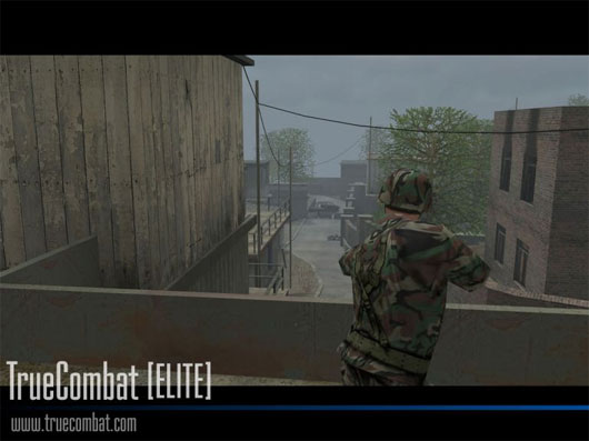 True_combat_elite_02.jpg