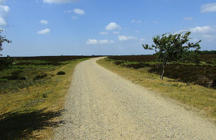 Kongenshus Mindepark 01.jpg