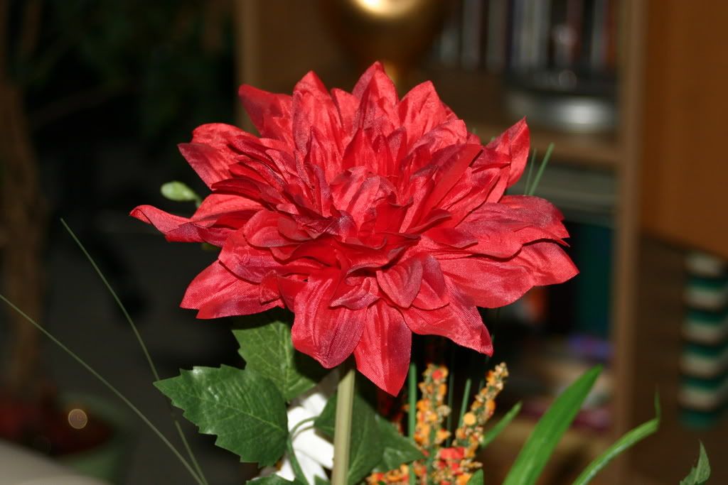 Bild056.jpg
