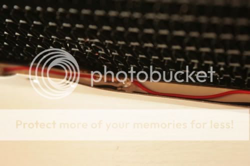 IMG_1133.jpg