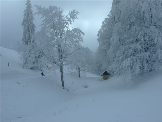 neu_pic 024.jpg