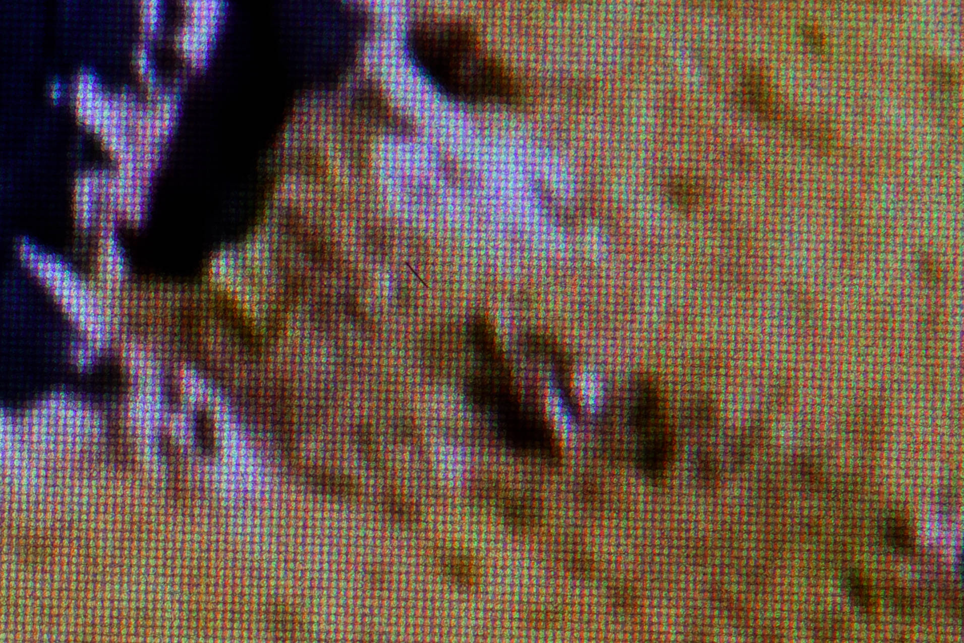 ASUS ProArt Display PA32KCX MiniLED