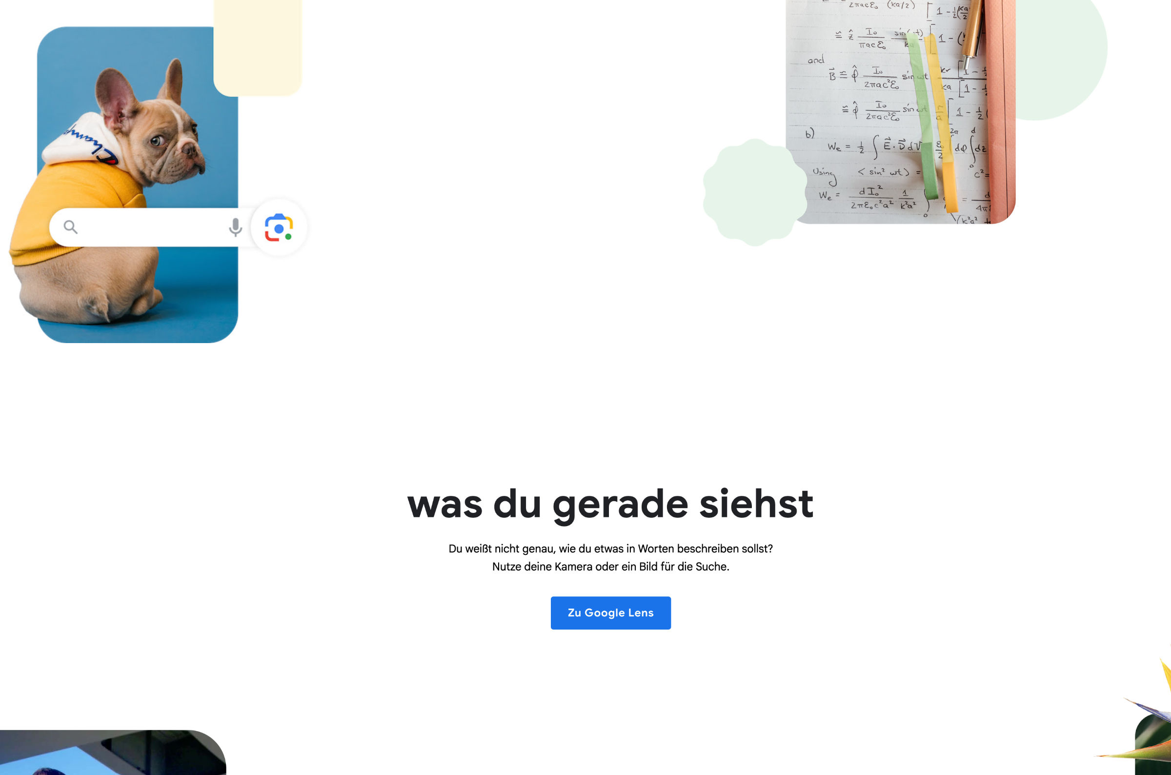 Google Lens  Bild © Google