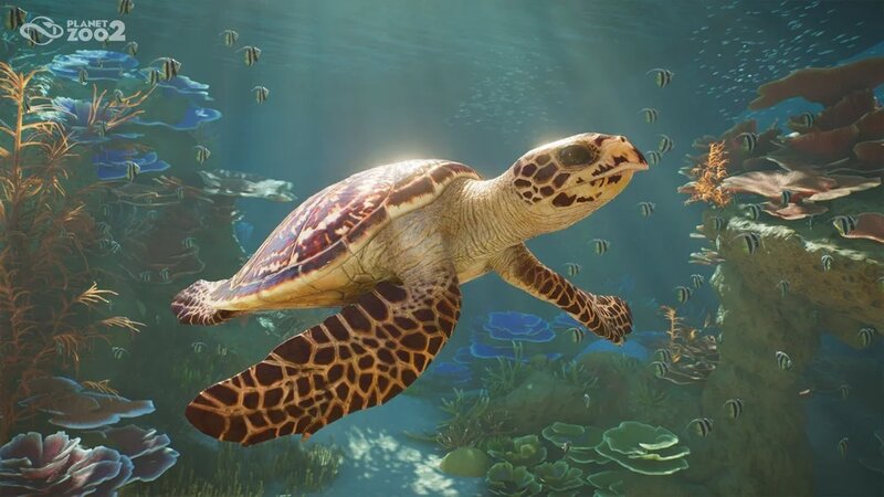 Planet Zoo 2 Screenshot 3