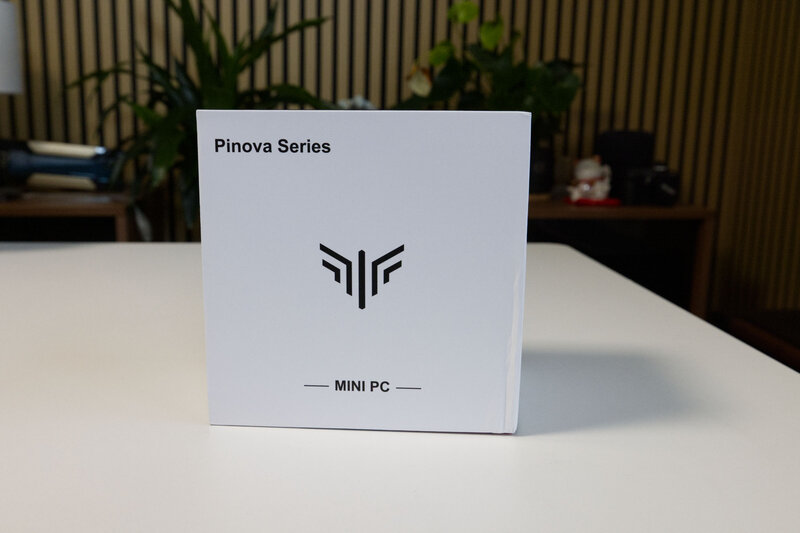 NiPoGi Pinova P1 Verpackung