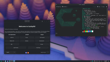 Linux vs. Windows 11 Leistungsvergleich: CachyOS führt bei Workstation-Leistung in Benchmarks