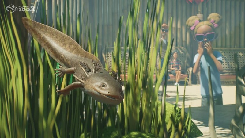 Planet Zoo 2 Screenshot 6