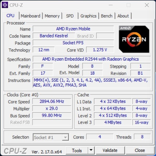 NiPoGi Pinova P1 Ryzen Embedded R2544 CPUz