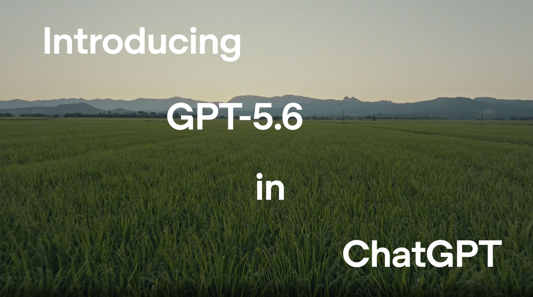OpenAI GPT 5 6  Bild © OpenAI