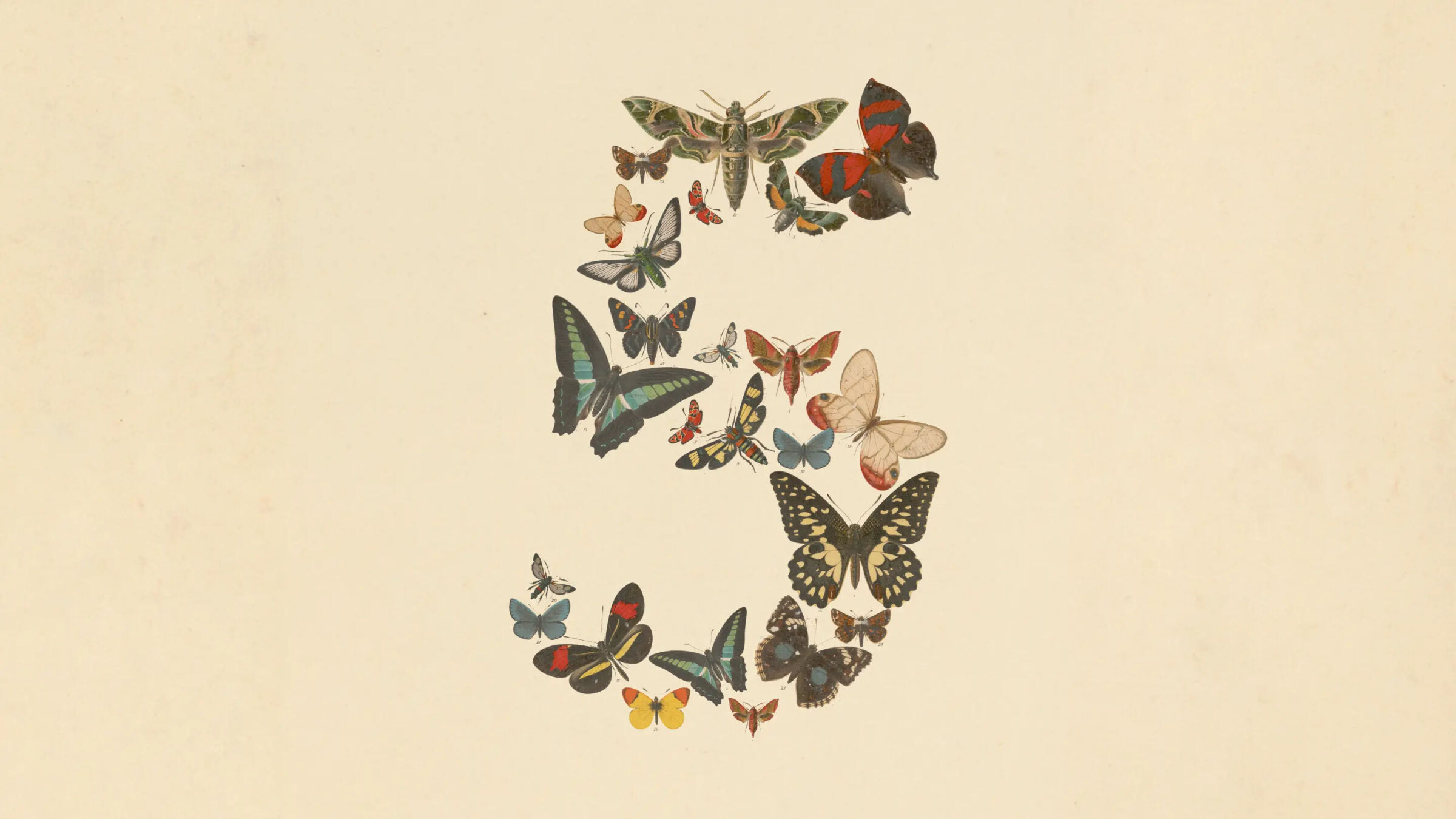 Claude Fable 5 und Mythos 5 Release  Bild © Anthropic