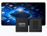 CXMT beginnt die Risikoproduktion von LPDDR6-Speichermodulen