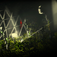 The Swapper