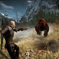 The Witcher 3 Wild Hunt Screenshot