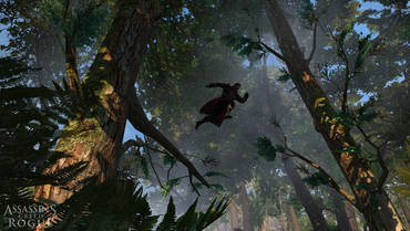 Assassins Creed Rogue