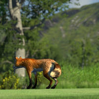 The Golf Club