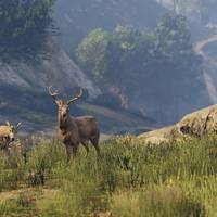 GTA 5 Next-Gen-Screenshots