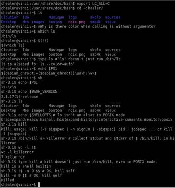 Mac/Linux Sicherheitslücke