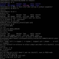 Mac/Linux Sicherheitslücke