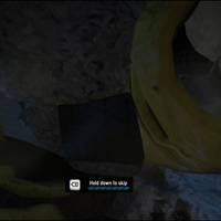 Warp Review