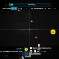 Warp Review
