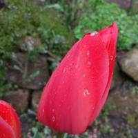 Xiaomi Mi5 Foto Samples
