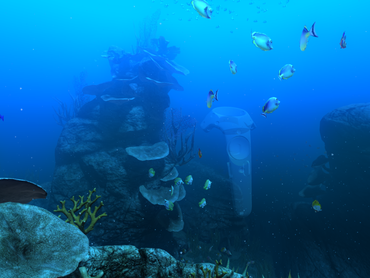 theBlu Reef Migration