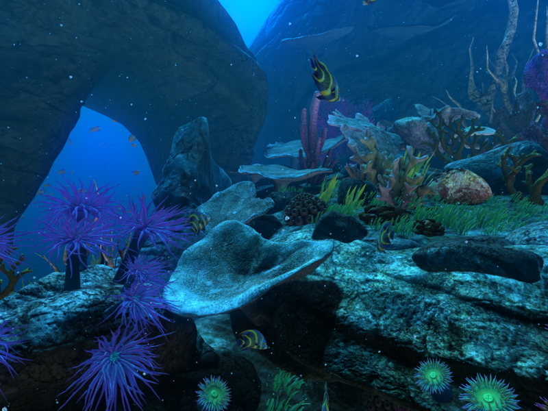 theBlu Reef Migration theBlu Reef Migration