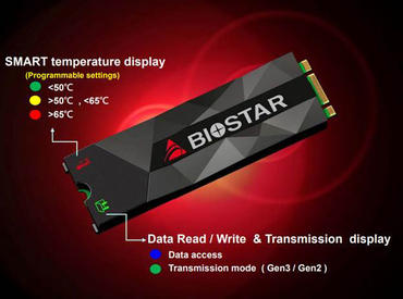 BIOSTAR M500