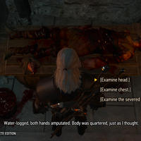 The Witcher 3 Wild Hunt Complete Edition Gamescom Screenshot